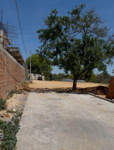 a tree on the side of a dirt road at Villa Hotel in Bom Jesus da Lapa +19 photos