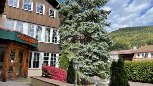 a large tree in front of a building at Haus Zellerwirt in Ruhpolding