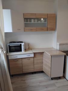 a kitchen with a counter top with a microwave at MIWi in Chojna +17 photos
