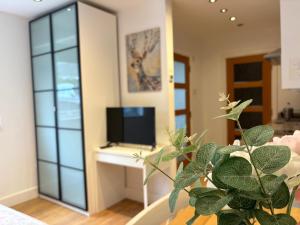 a living room with a television and a plant at Stunning Studio1, Banstead with free off st parking in Banstead