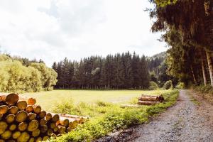 a pile of logs next to a dirt road at Leaf op het terrein accommodatie Woltzdal in Bischenrech