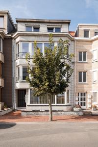 a tree in front of a building at Ruim, stijlvol gerenoveerd vakantieappartement voor 4 personen vlak bij zee en de duinen in De Panne