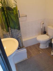 a bathroom with a sink and a toilet and a shower at Naroc1 in Lille