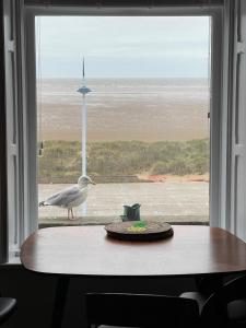 Φυσικό τοπίο κοντά σε αυτό το διαμέρισμα +3 φωτογραφίες