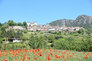 un campo de flores rojas frente a un pueblo en Cocoon,Vue Montagne,Jacuzzi privé, en Mostuéjouls