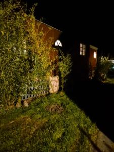 un cortile di notte con una casa e un albero di Haus Evelynchen auf Rädern Deutschhof a Deutschhof