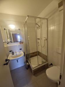 a bathroom with a shower and a sink and a toilet at CS HARZgeflüster-Das Familienhotel in Thale