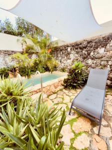 a chair in a garden with a swimming pool at Casa Chaak Maya - Estudio privado con alberca en Mérida in Mérida