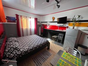 a small bedroom with a bed and a desk at Studio king-size bed, all comfort in Balaté in Saint-Laurent du Maroni