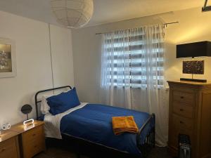 a bedroom with a blue bed and a window at Contractor friendly-2 bd-Private Parking-Sleeps 3 in Llandeilo