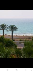 two palm trees on a beach with the ocean at Charming beach 2 room flat in Haifa