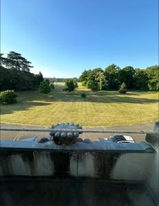 Una boca de incendios con vistas a un parque en Château de Savonnières, en La Bruère-sur-Loir 10 fotos más