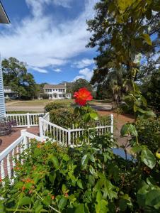 a red flower on a white fence at Cozy, Cute, Private Ozark Suite 5 Mins to Hospital in Ozark