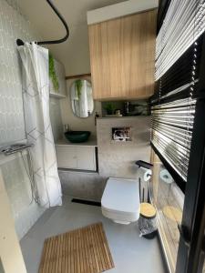 a small bathroom with a toilet and a sink at ISH Danube Village in Orşova +5 photos