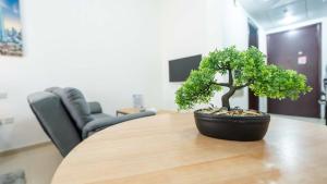 un petit arbre assis au-dessus d'une table en bois dans l'établissement Village View Serenity by Hala Homes, à Ras al Khaimah