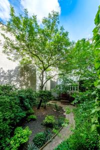 un giardino con un albero e una panchina di fronte a un edificio di Chain Bridge Studio a Budapest
