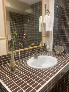 a bathroom counter with a sink and a mirror at casa rural larre aundi in Rentería