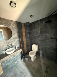Un baño con inodoro, lavabo y espejo. en Zoon In, en Costinesti