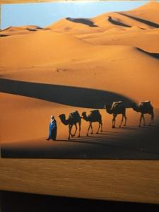 a man walking a caravan of camels in the desert at Camels House in Merzouga