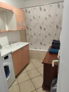 a bathroom with a sink and a washing machine at F5 à Montjaux in Montjaux +6 photos