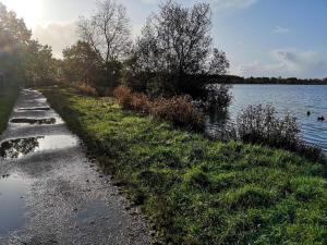a path next to a lake with ducks in the water at Scandinavian Lakeside Retreat-By Traum in Ansager