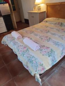Giường trong phòng chung tại Dormi MDQ sólo con seña de 40000ARS +9 ảnh