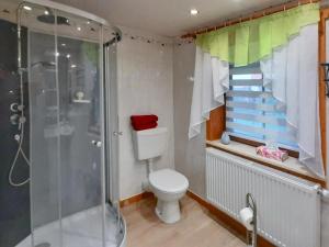 a bathroom with a toilet and a shower and stairs at Ute in Dankerode +2 photos