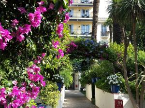 a garden of flowers and plants in front of a building at Hôtel de Provence in Cannes