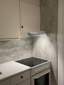 Dapur atau dapur kecil di Leilighet nær alle opplevelser