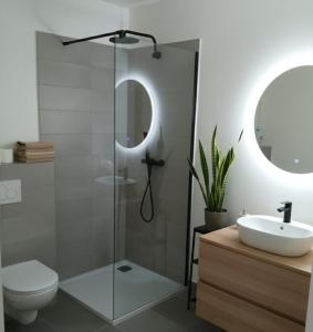 a bathroom with a shower and a toilet and a sink at Dragon Ghest in Fort-de-France