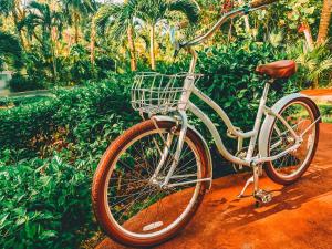 Una bicicleta con una cesta estacionada junto a un arbusto en Romantic Escape I 500m Award-Winning Beach I Memory Foam King Bed I AC Kitchen WiFi 5B, en Playa del Carmen