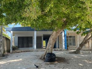 a house with a tree and a trash bag in front of it at Casita Azul del mar, sencilla con fresca brisa in Chelem