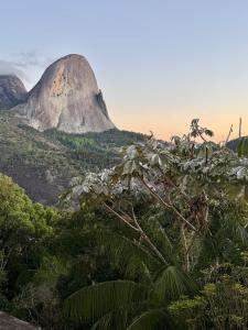a mountain in the jungle with a tree at Apartamento com varanda e vista da Pedra Azul in Domingos Martins