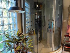bagno con doccia e pianta in vaso di 5 person holiday home in ADELSÖ ad Adelsö