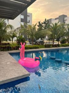 een roze drijver in een zwembad in een resort bij El paraíso del descanso in El Jobo