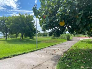 een stoep in een park met een straatlicht bij El paraíso del descanso in El Jobo +8 foto's