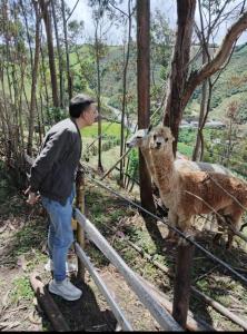 a man standing next to a sheep in the woods at Finca la Rosita in Tulcán