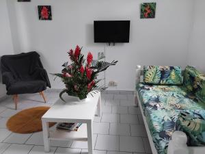 sala de estar con sofá y mesa con planta en Résidence belle place, en Saint-François