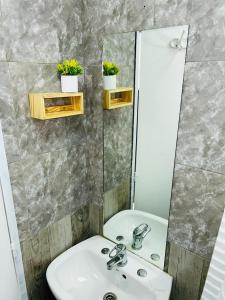 a bathroom with a sink and a mirror at Encantador monoambiente con parque in Río Gallegos +16 photos