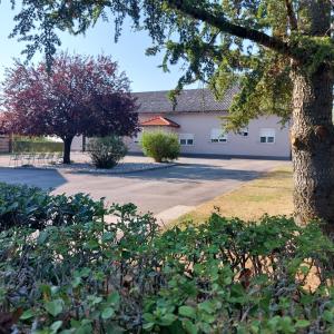 a building with a tree in front of it at Sobe Nobiles in Draganići
