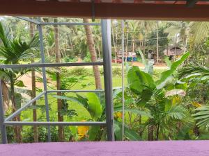 a view of a garden from a window at Lakshika tent stay in Gokarna