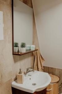 a bathroom with a sink and a mirror at Cabana Soarelui,Napos vendégház in Valea Boroş