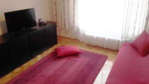 a living room with a red pillow on a purple rug at Danube Apartment in Belgrade +50 photos