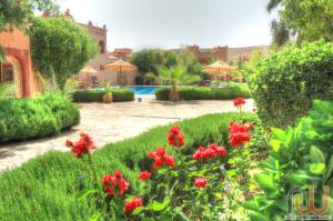 un jardín con flores rojas y una piscina en La Perle Du Dades, en Boumalne