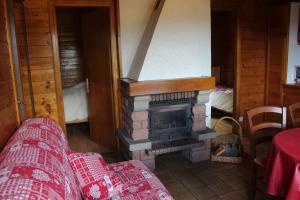 - un salon avec une cheminée dans une maison dans l'établissement Chalet Les Jonquilles, à La Bresse