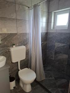 a bathroom with a toilet and a shower at Sobe Nobiles in Draganići +9 photos