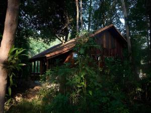 Landskap semula jadi dekat dengan lodge