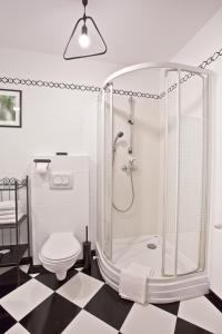 クリニツァ・ズドルイにあるTrzy Siostryのバスルーム(シャワー、トイレ付)