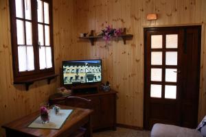 a living room with a television and a wooden wall at Home in Garfagnana in Vagli di Sotto