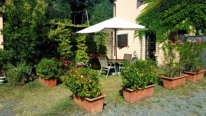 Gallery image of Casale Citerno in Bolsena